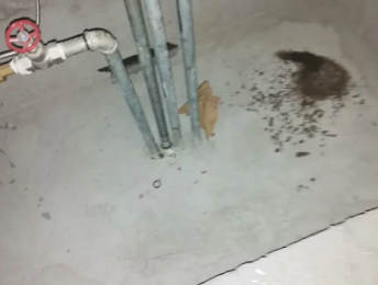 黎城卫生间测漏水价格明细